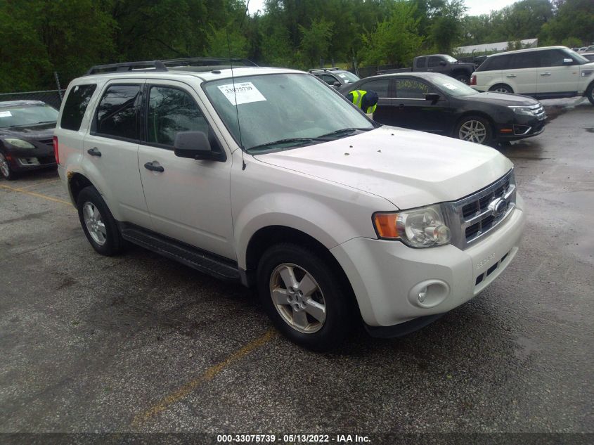 2010 FORD ESCAPE XLT