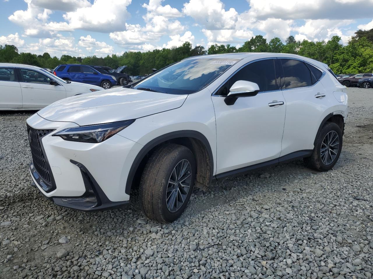 2024 LEXUS NX 250 PREMIUM