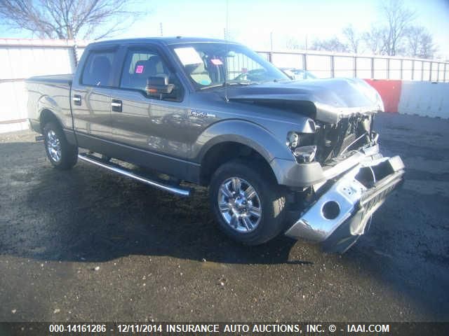 2010 FORD LGT CONVTNL 'F' F150