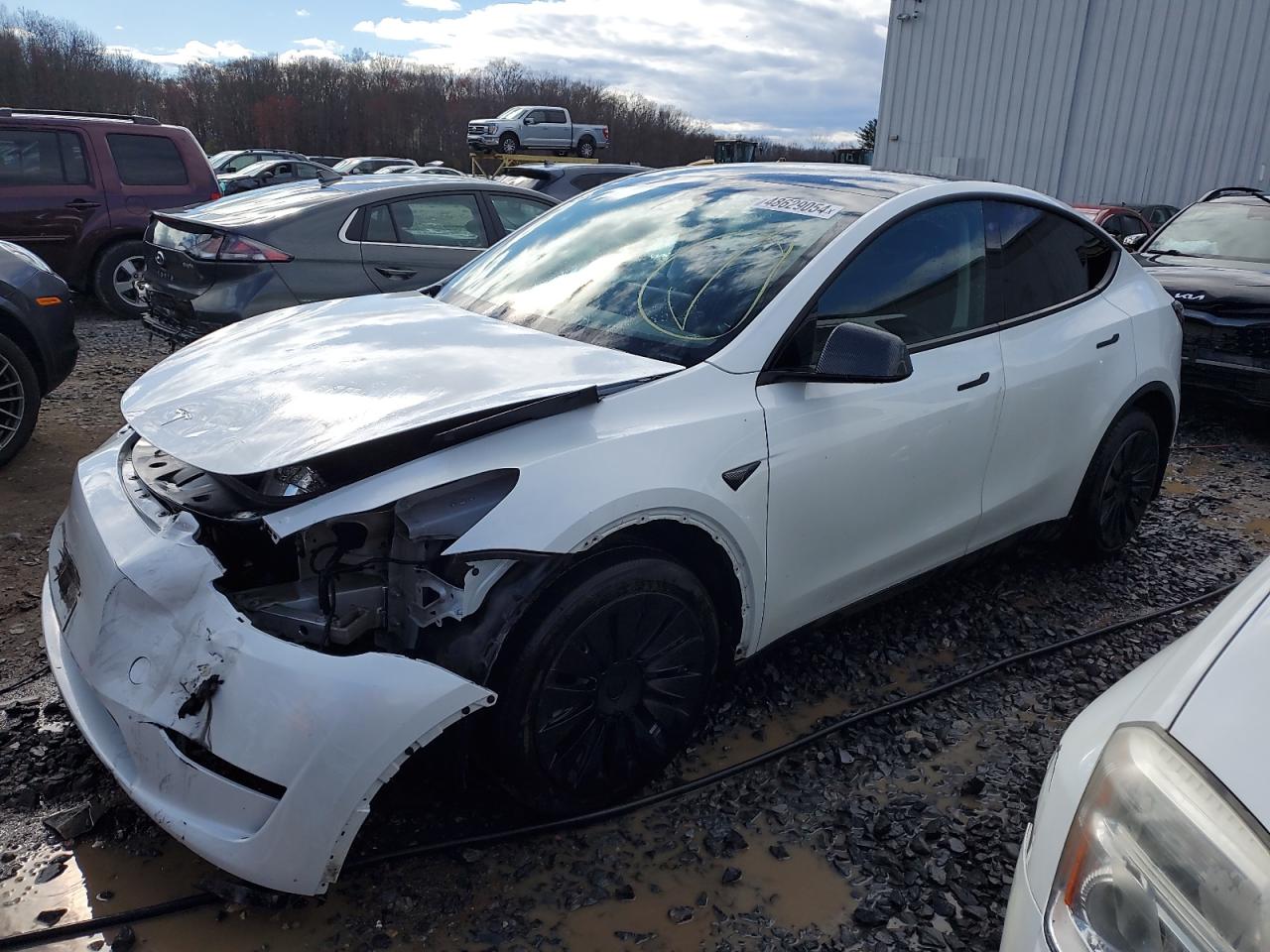 2023 TESLA MODEL Y