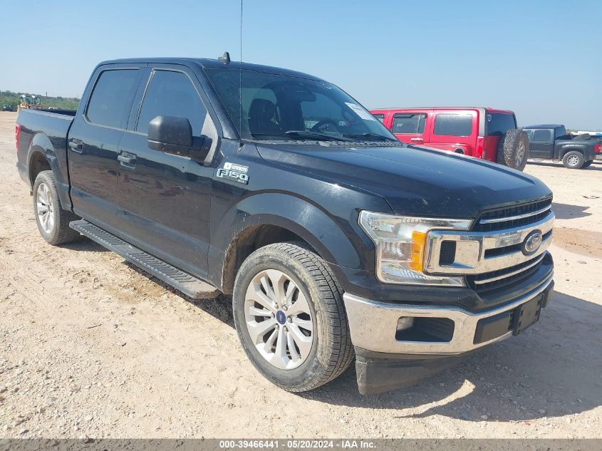 2019 FORD F-150 XLT