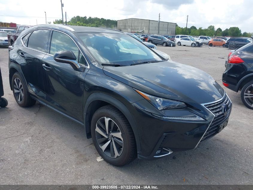 2019 LEXUS NX 300H