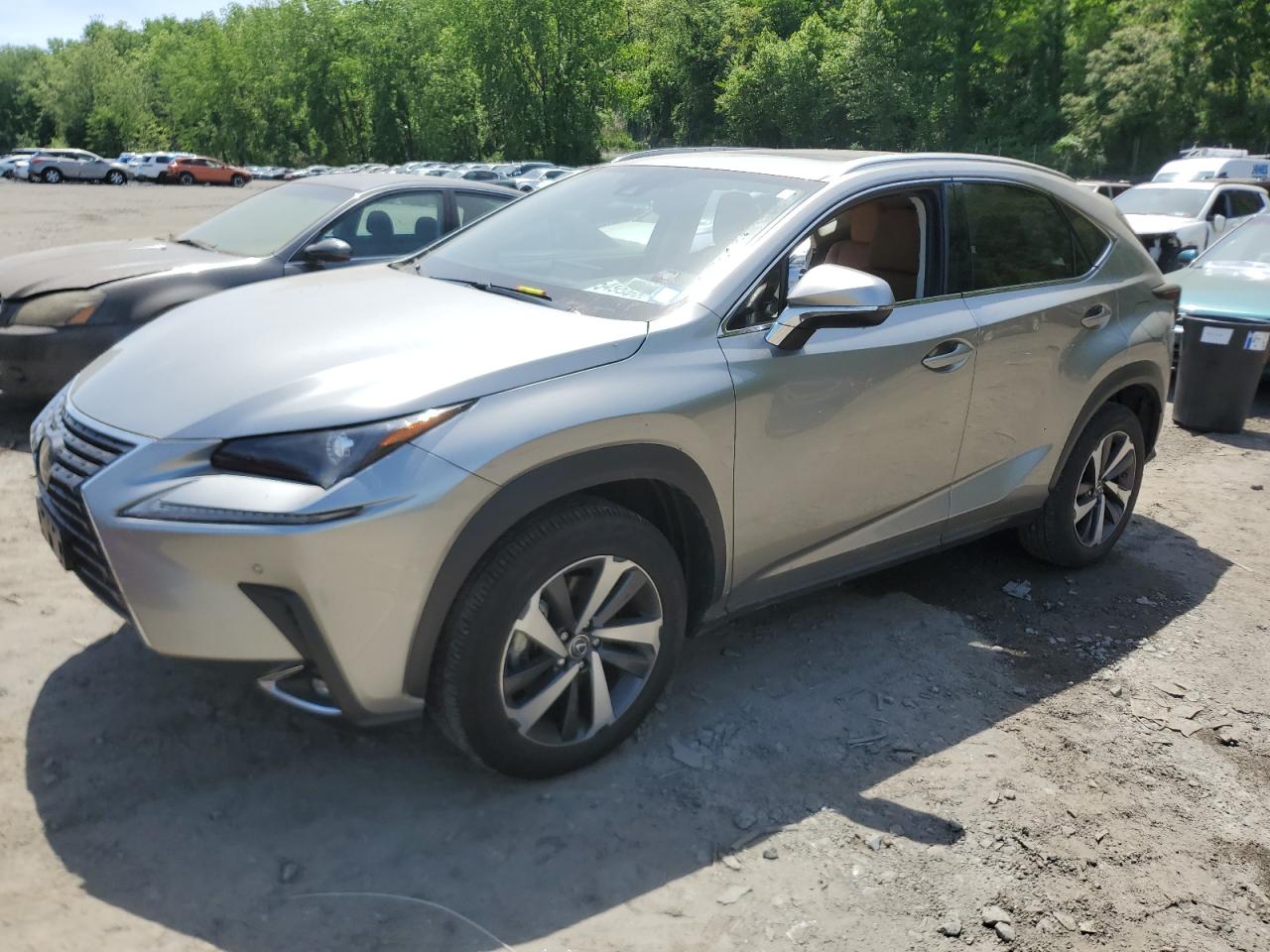 2020 LEXUS NX 300