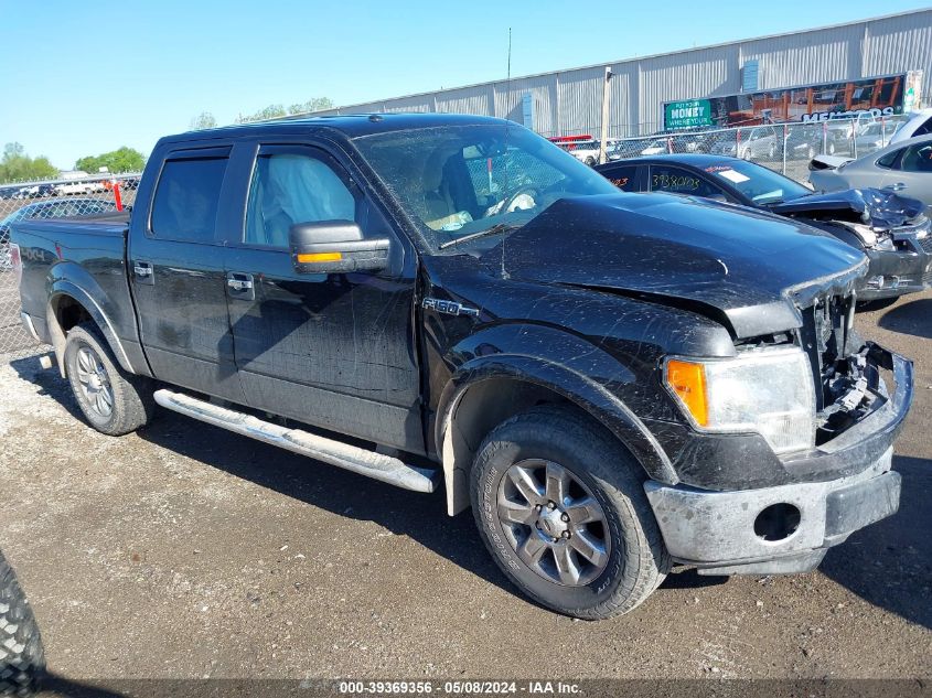 2013 FORD F-150 XLT