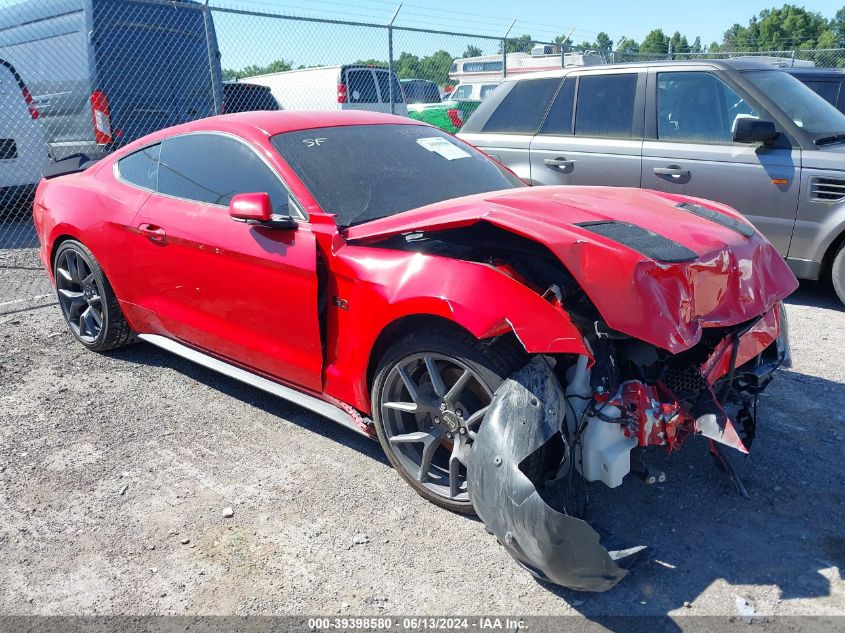 2019 FORD MUSTANG GT