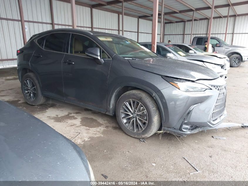 2024 LEXUS NX 350 PREMIUM