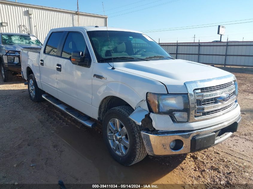 2014 FORD F-150 XLT