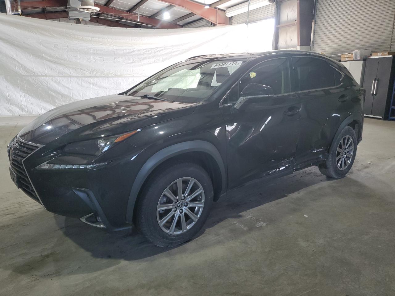 2019 LEXUS NX 300H