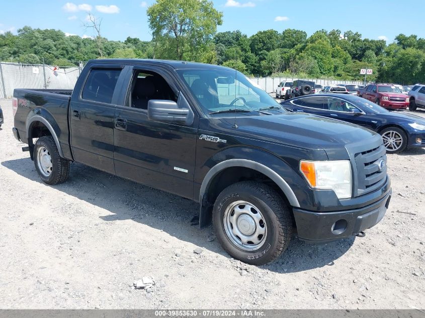 2012 FORD F-150 FX4