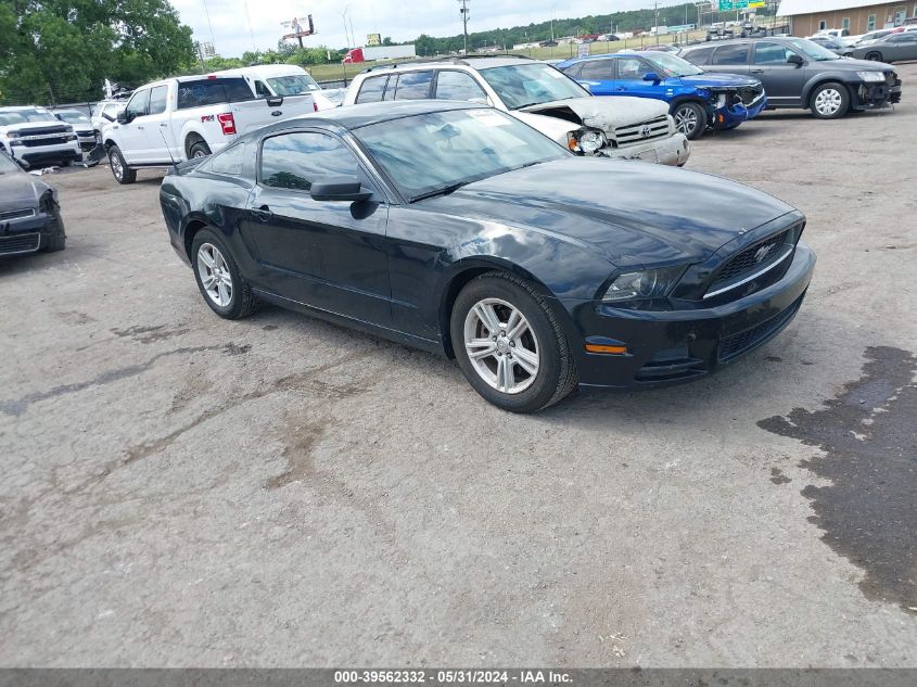 2013 FORD MUSTANG V6