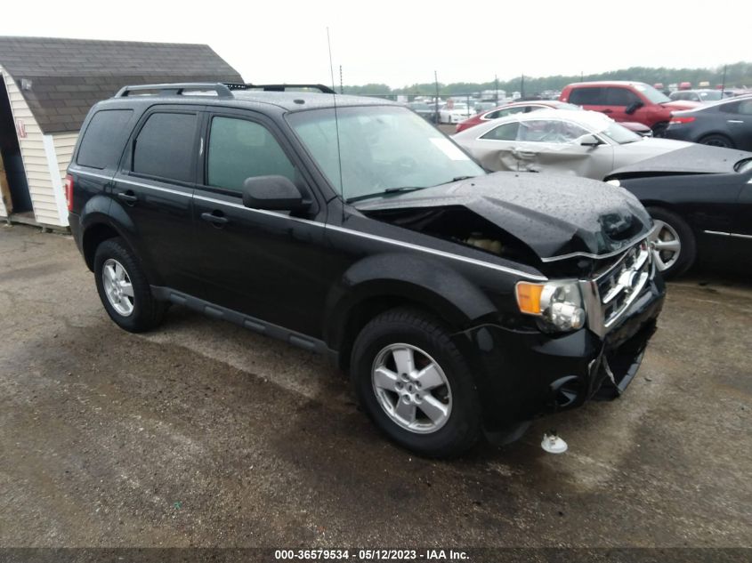 2010 FORD ESCAPE XLT