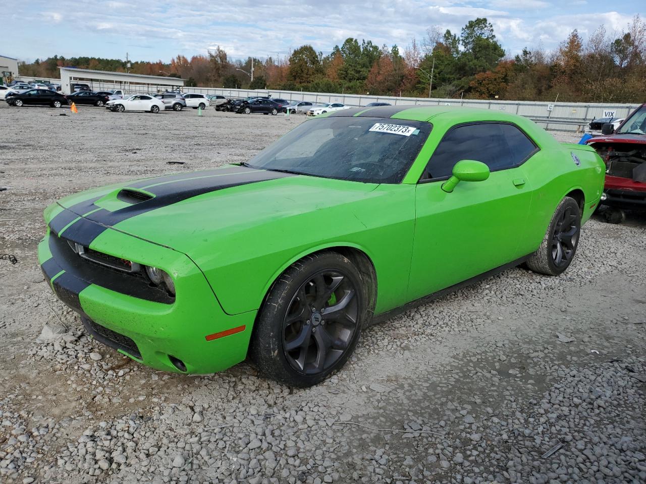 2019 DODGE CHALLENGER R/T