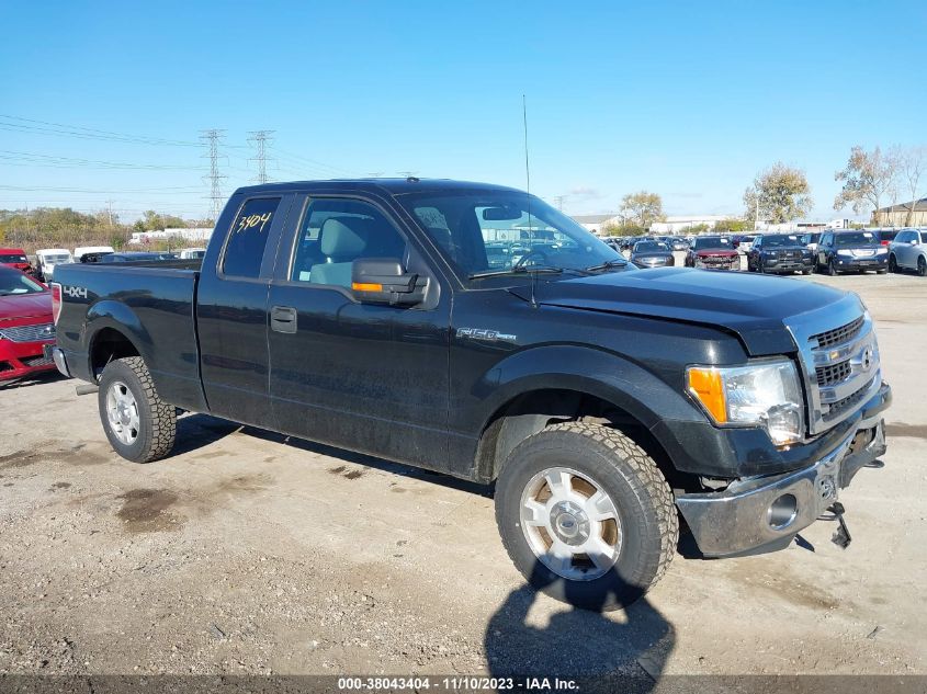 2014 FORD F-150 XLT