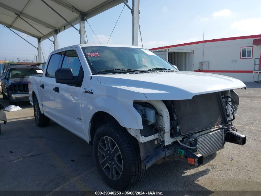 2015 FORD F-150 XLT