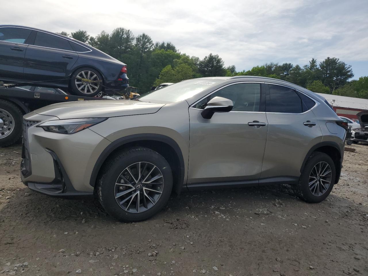 2023 LEXUS NX 350