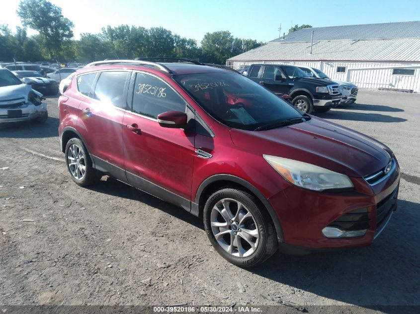 2013 FORD ESCAPE SEL