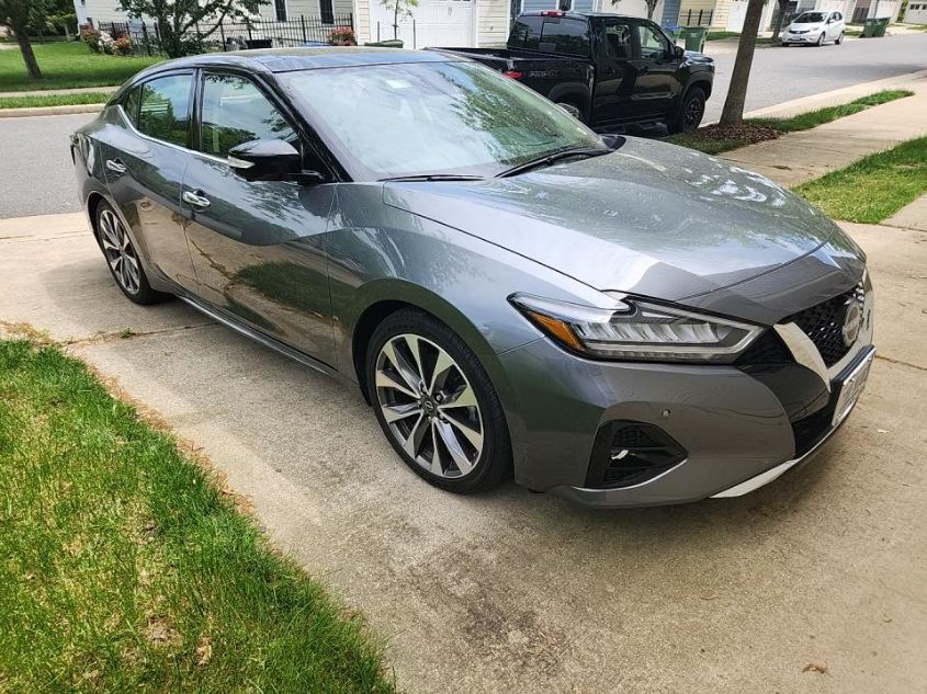 2023 NISSAN MAXIMA PLATINUM