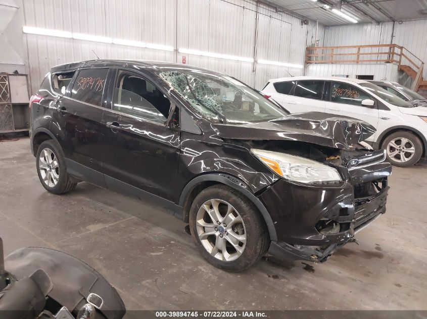 2013 FORD ESCAPE SEL