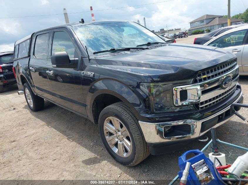 2019 FORD F-150 XLT