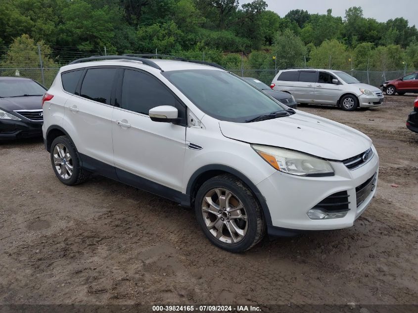 2013 FORD ESCAPE SEL