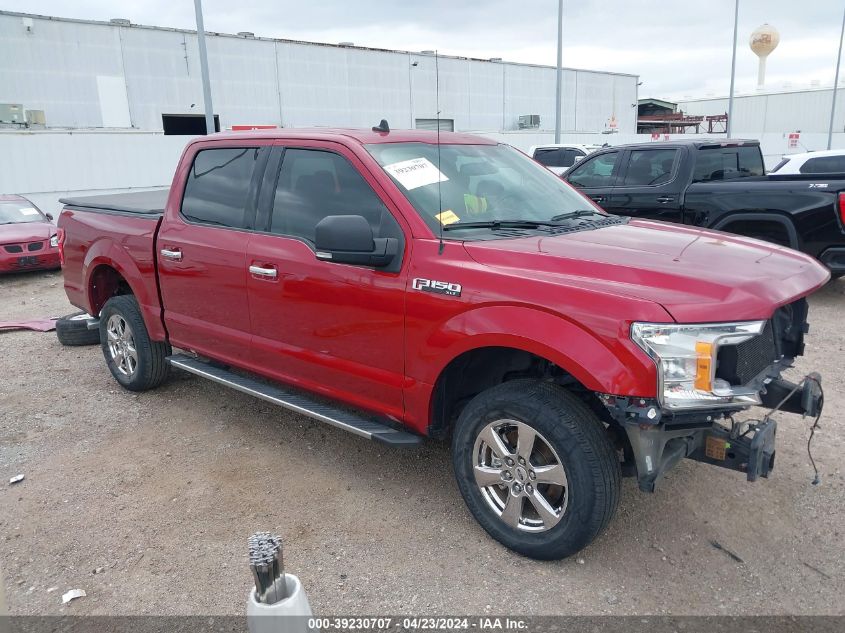 2019 FORD F-150 XLT