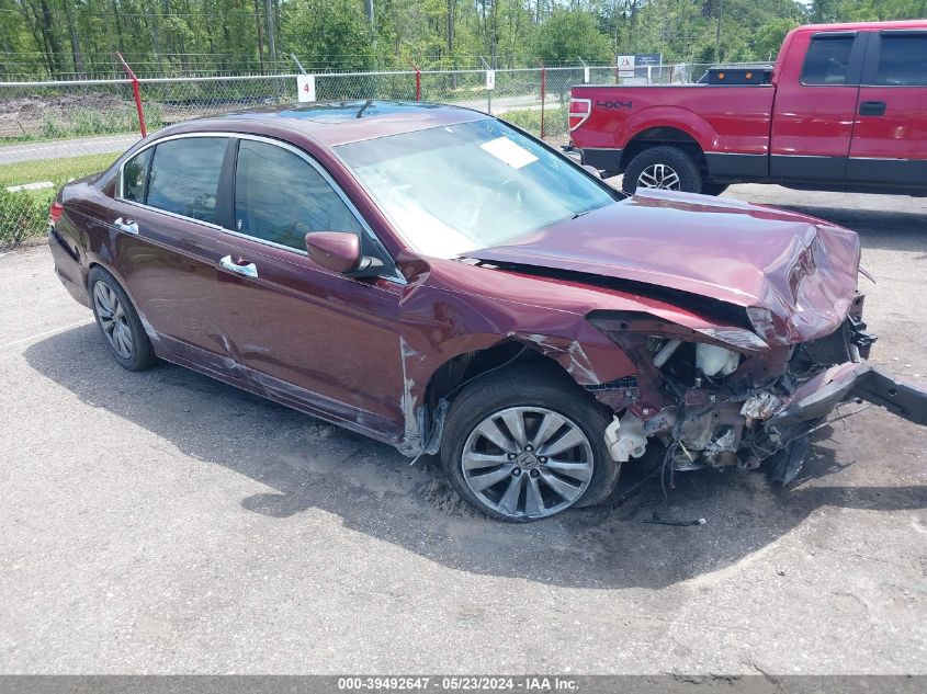 2011 HONDA ACCORD EXL