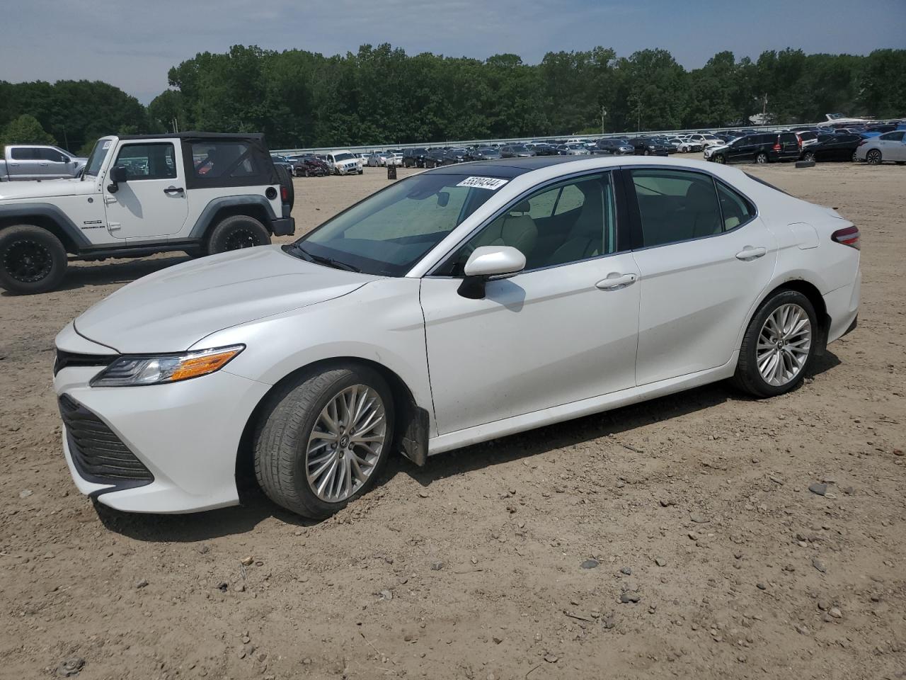 2019 TOYOTA CAMRY L