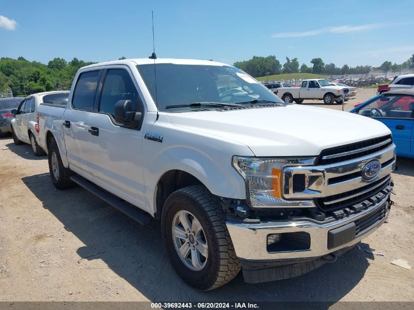 2019 FORD F-150 XLT