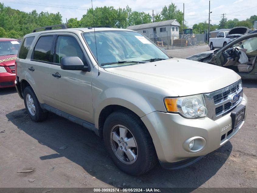 2011 FORD ESCAPE XLT